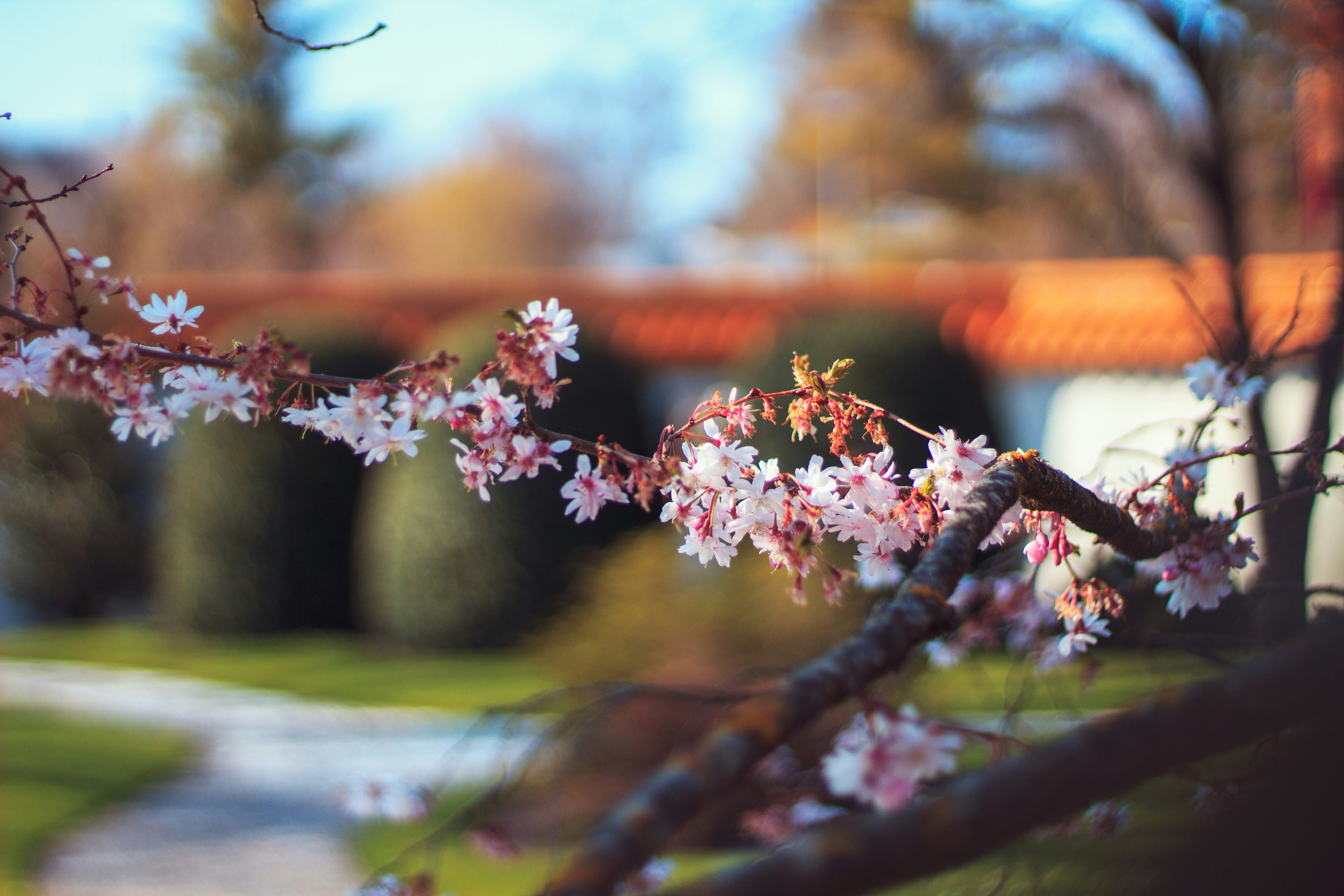 Photo by sushimi