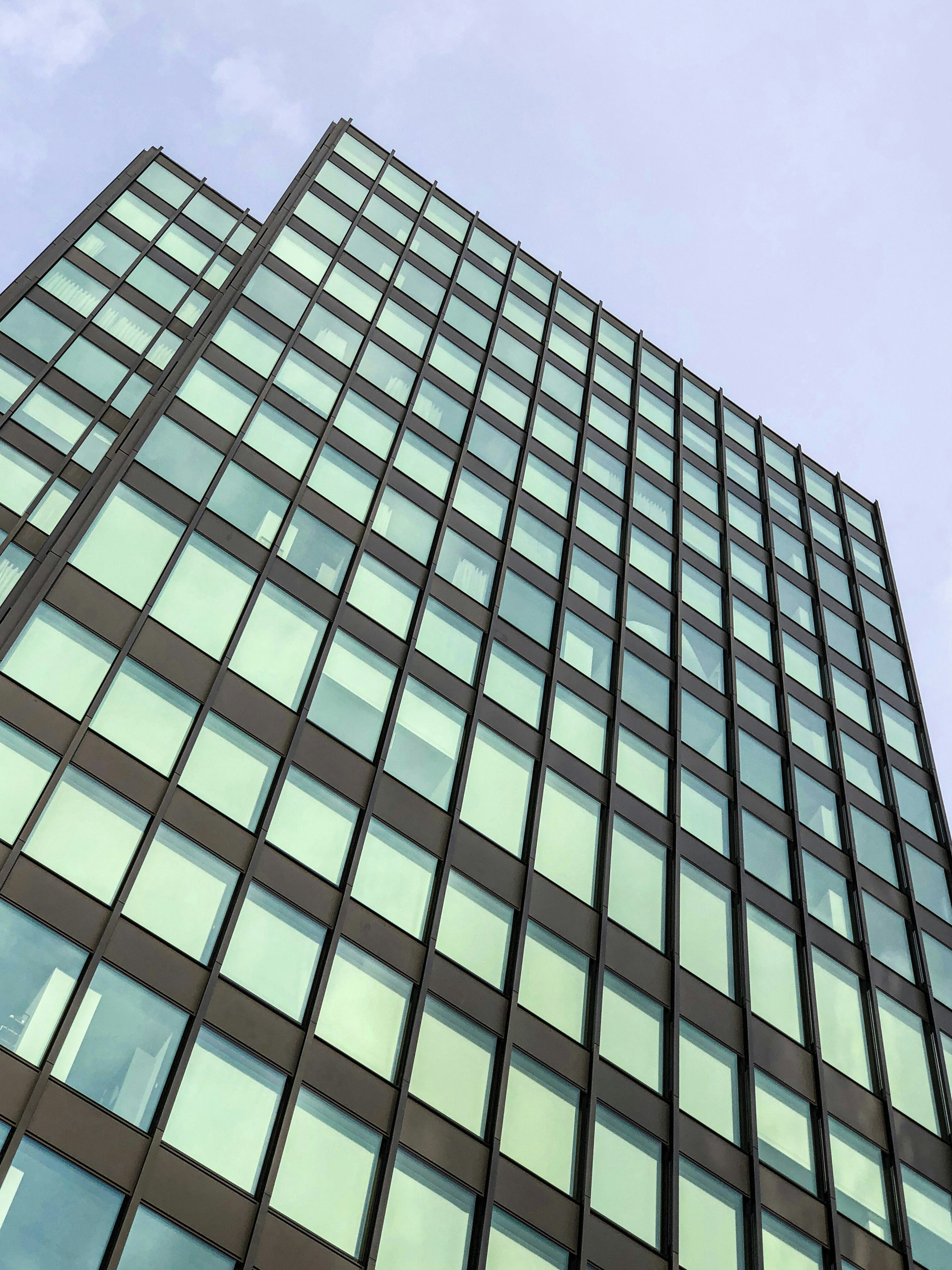 Photo by joaoscferrao