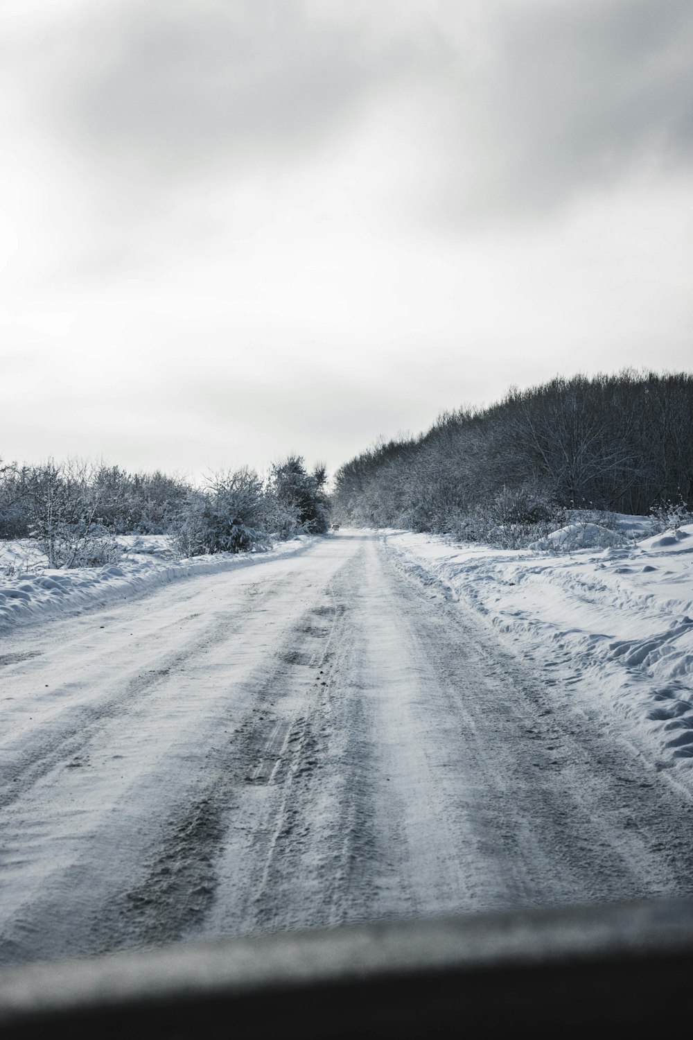 昼間の白い空の下、木々の間にある雪に覆われた道路