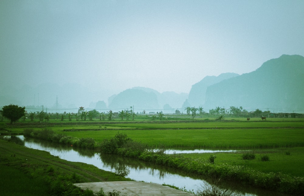 green grass field near lake during daytime