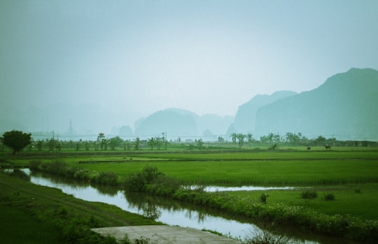 green grass field near lake during daytime in Ninh Bình Vietnam