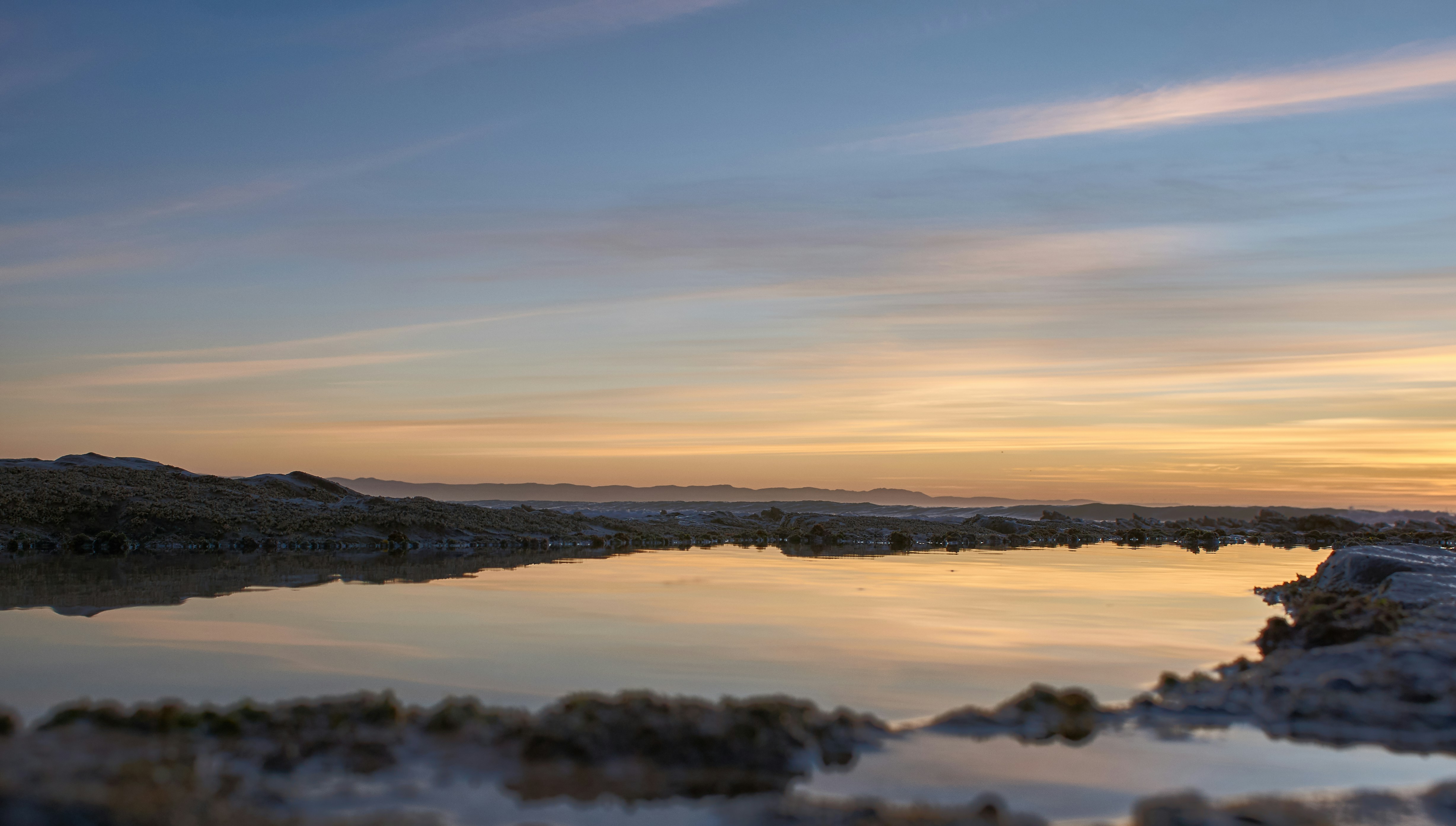 Photo by wolfgang_hasselmann