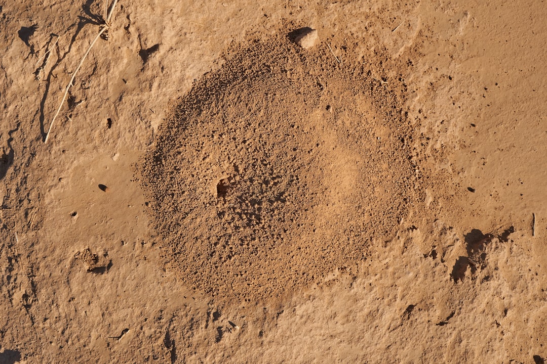 brown sand with hole during daytime