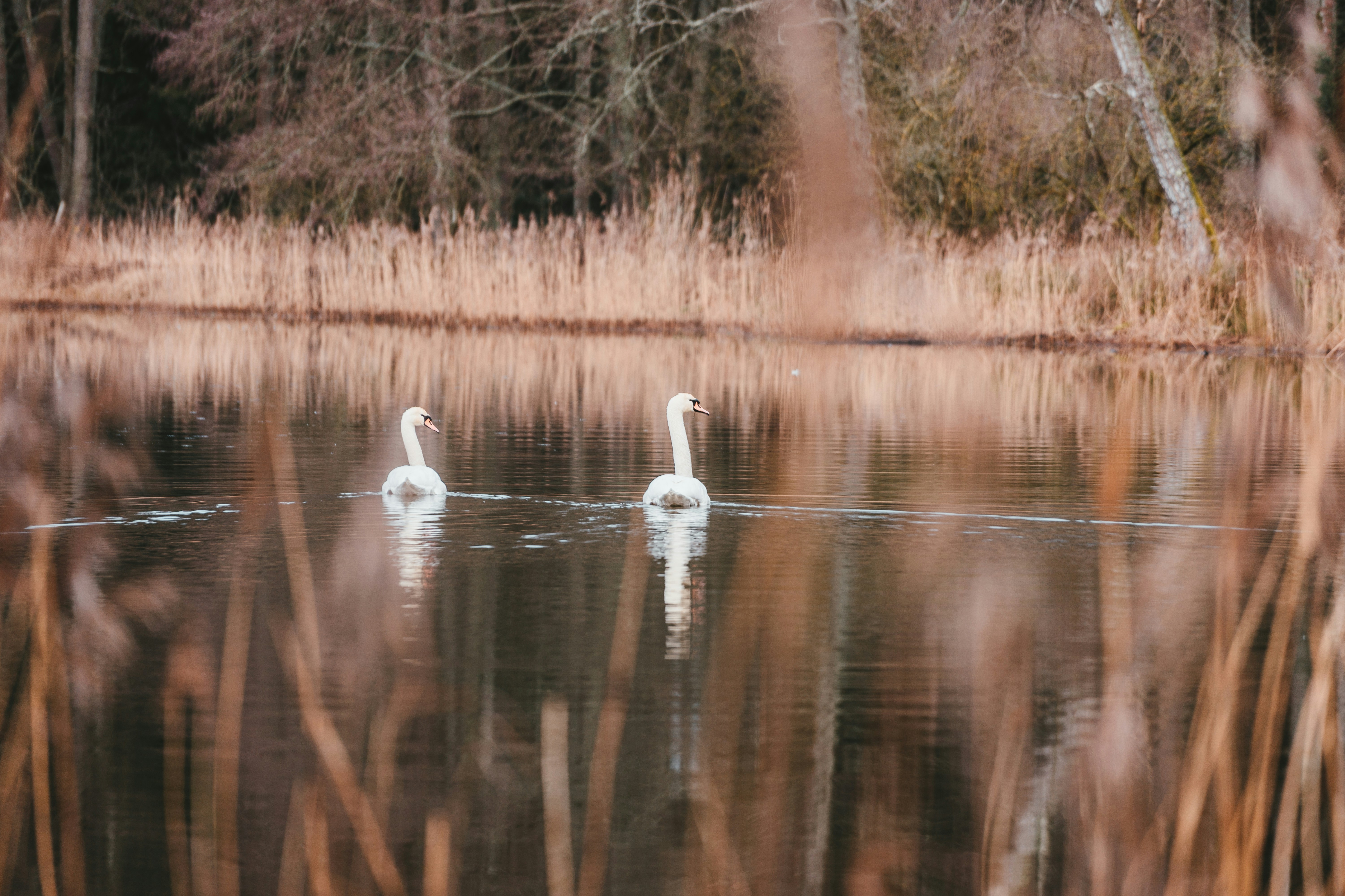 Photo by julianhochgesang