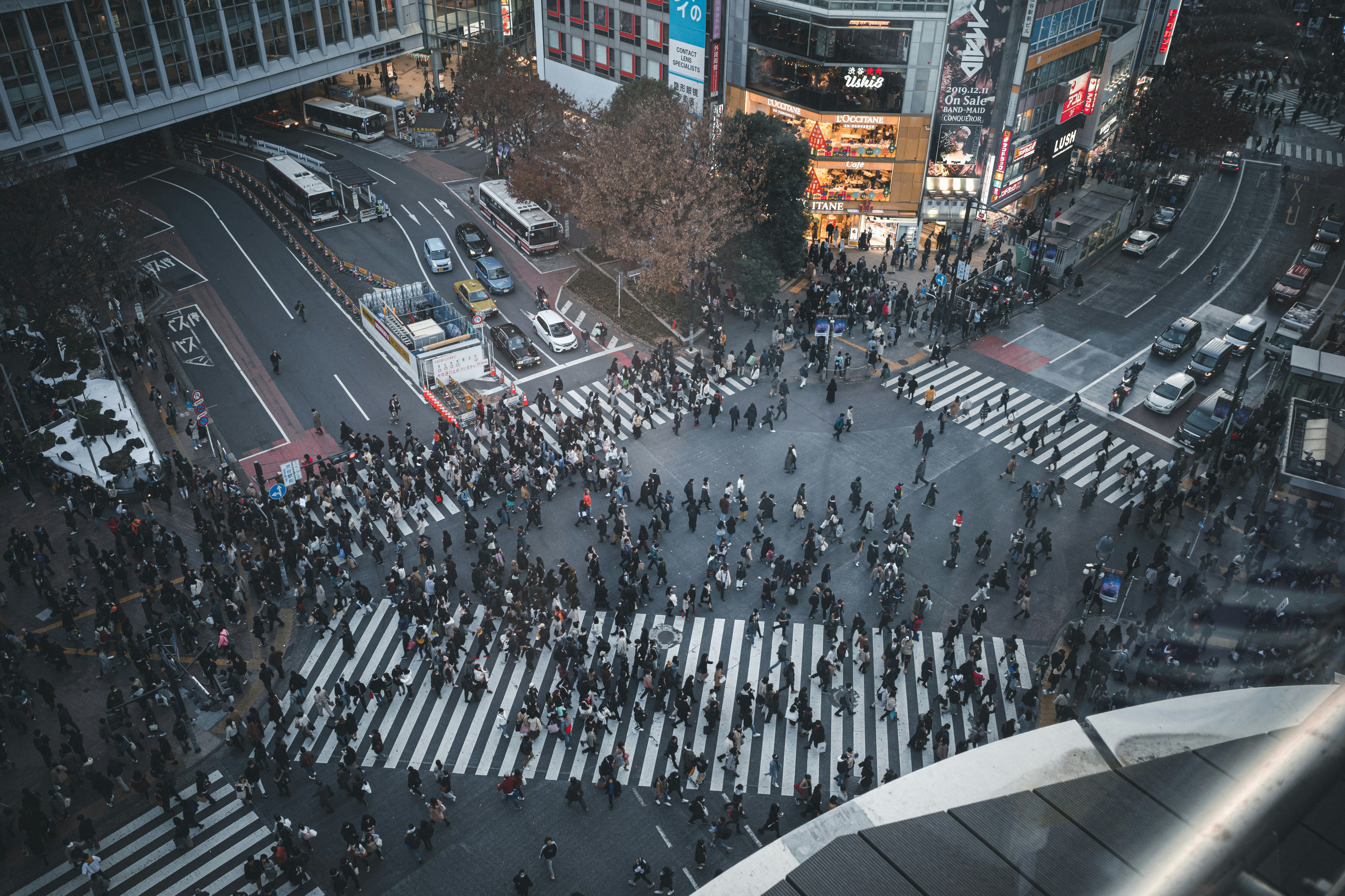 people walking on pedestrian lane during daytime, 