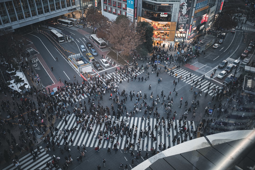 Tokyo Like a Local: Insider Tips for Experiencing Japan's Electrify… — Tokyo Like a Local