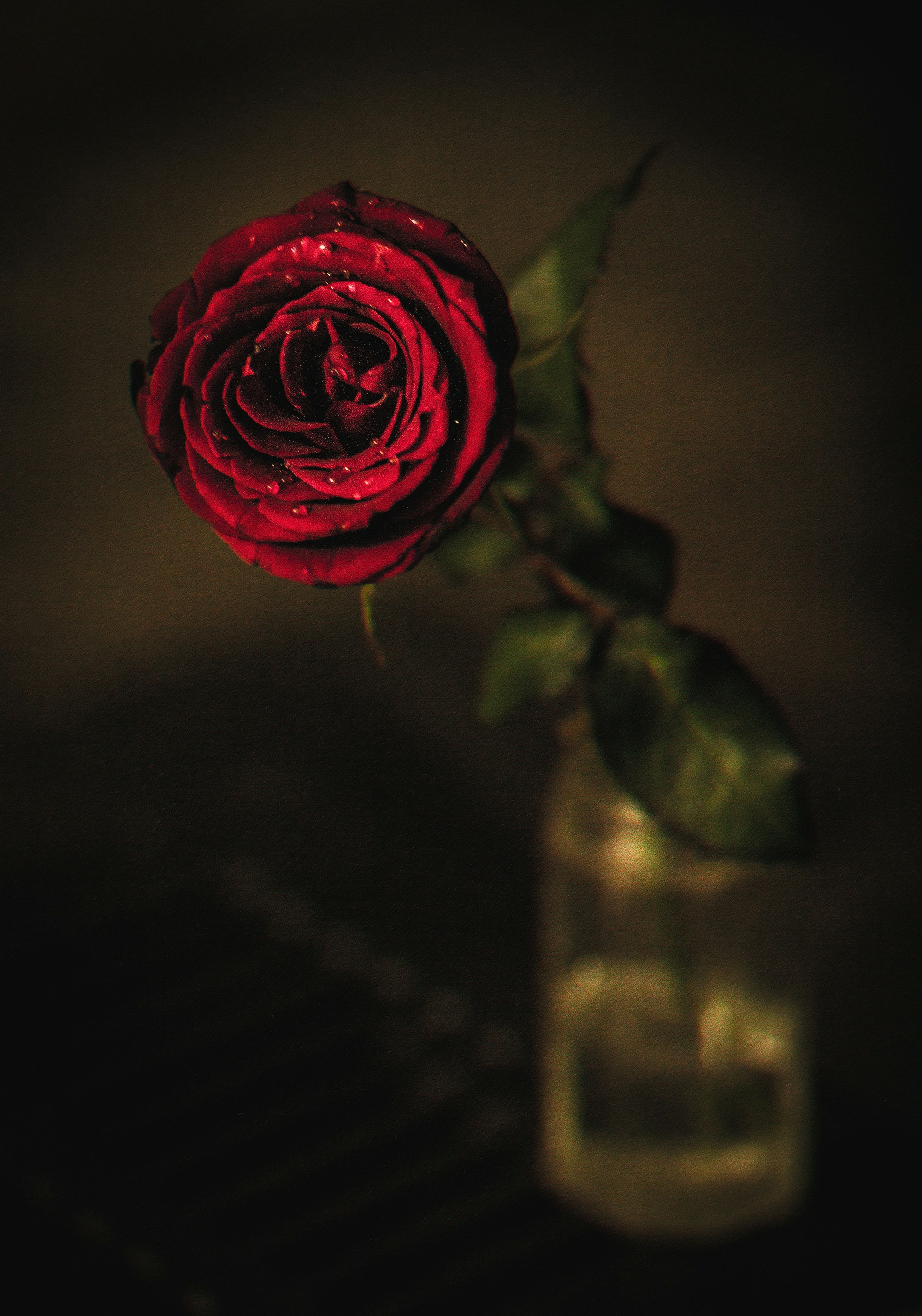 Photo by davoodjalali