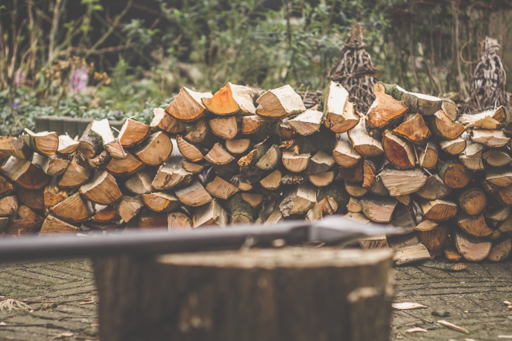 brown firewood on brown wooden log