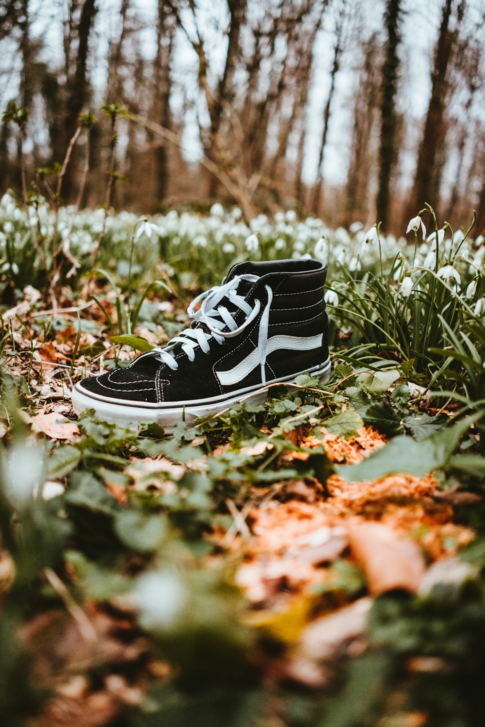 black and white adidas sneakers on green grass