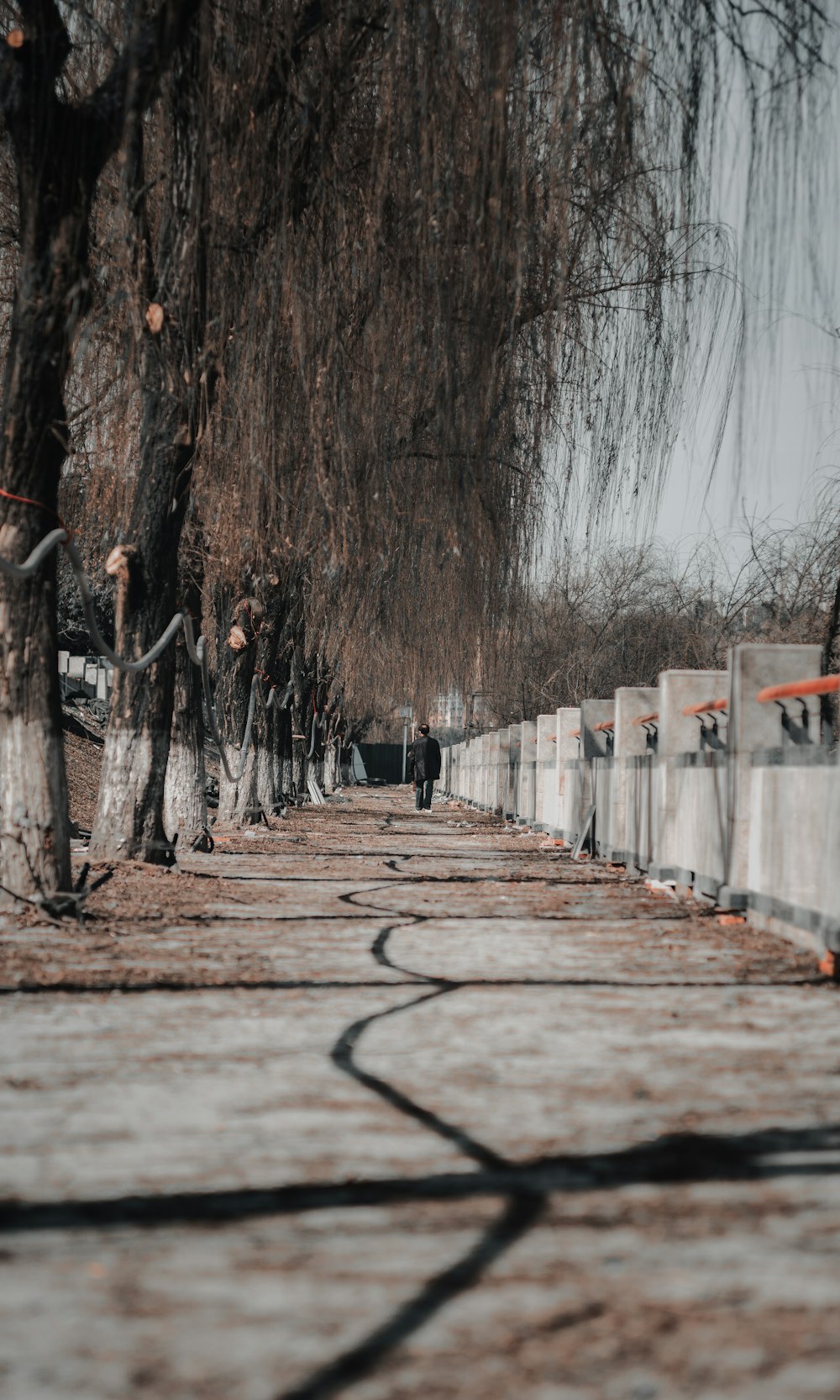 person in black jacket walking on wooden bridge during daytime