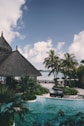 brown nipa hut near palm trees and body of water during daytime