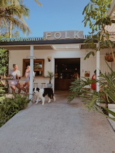 A cozy café with the word 'FOLK' on the signboard, set amidst lush greenery. Two people are sitting at a table outside, enjoying drinks. A black and white dog is walking on the path leading up to the café. The atmosphere appears relaxed and inviting, with tropical plants enhancing the aesthetic.