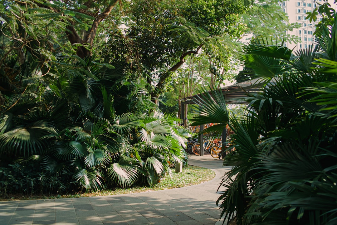 Travel Tips and Stories of Tsing Yi Promenade in China