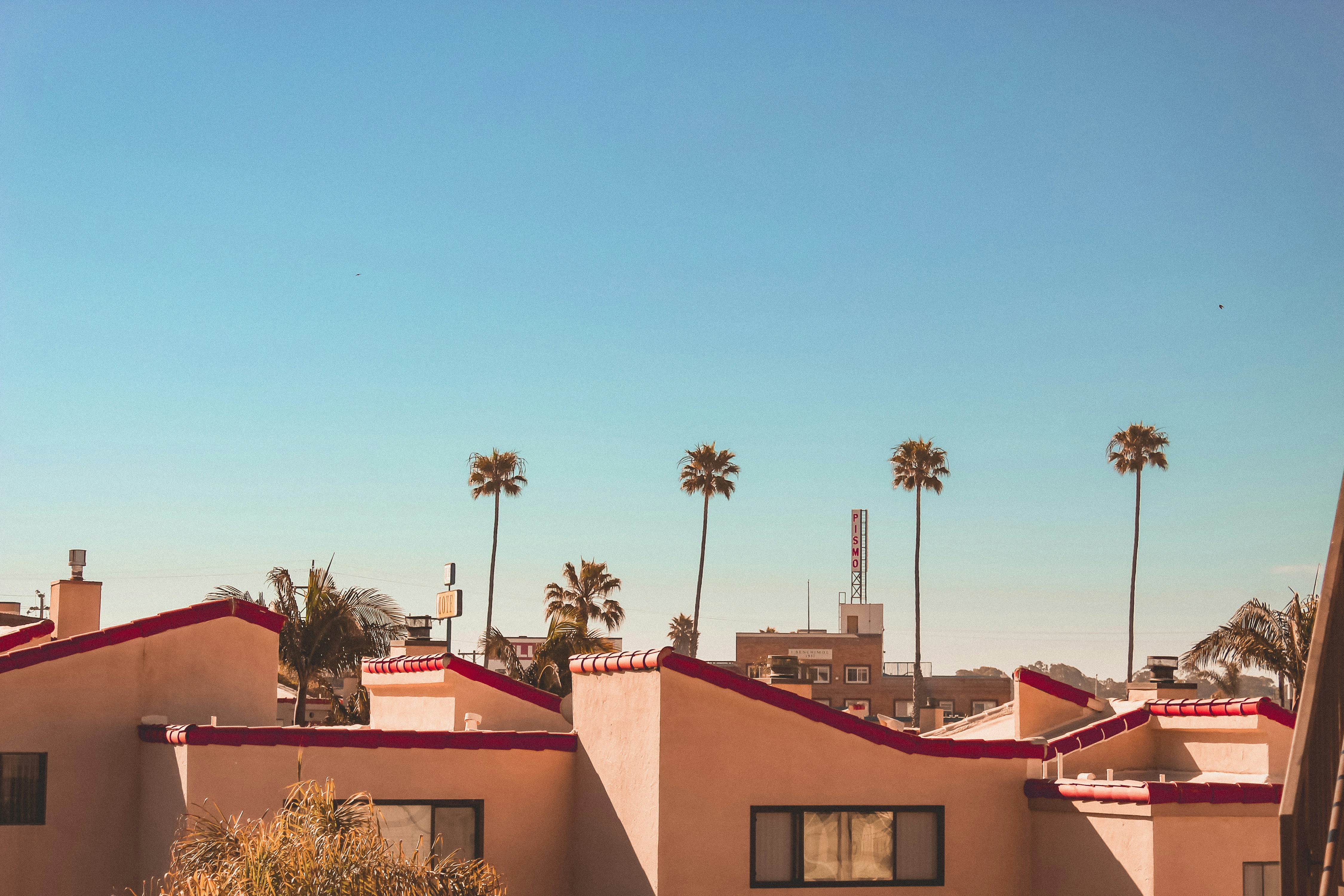 Palm trees near pink concrete building photo Free Pismo beach Image
