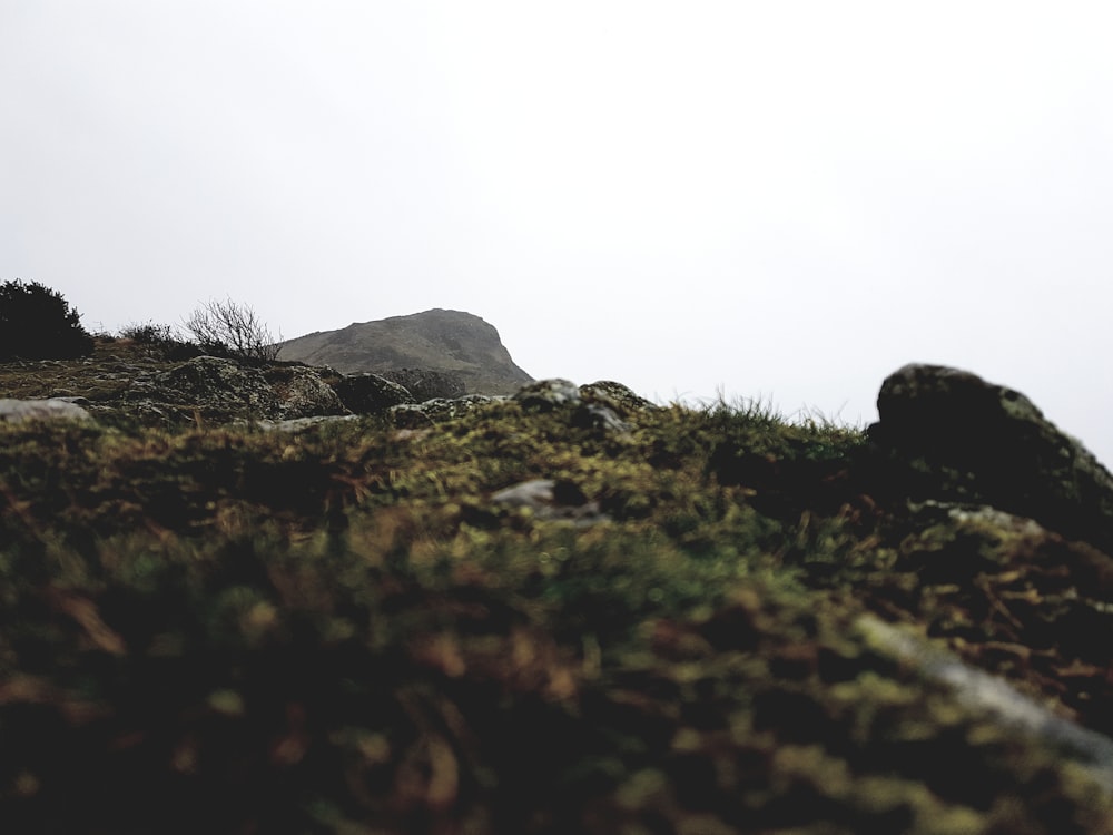 black rock formation on green grass field