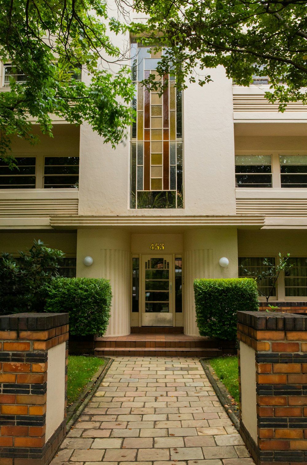 green tree in front of white concrete building