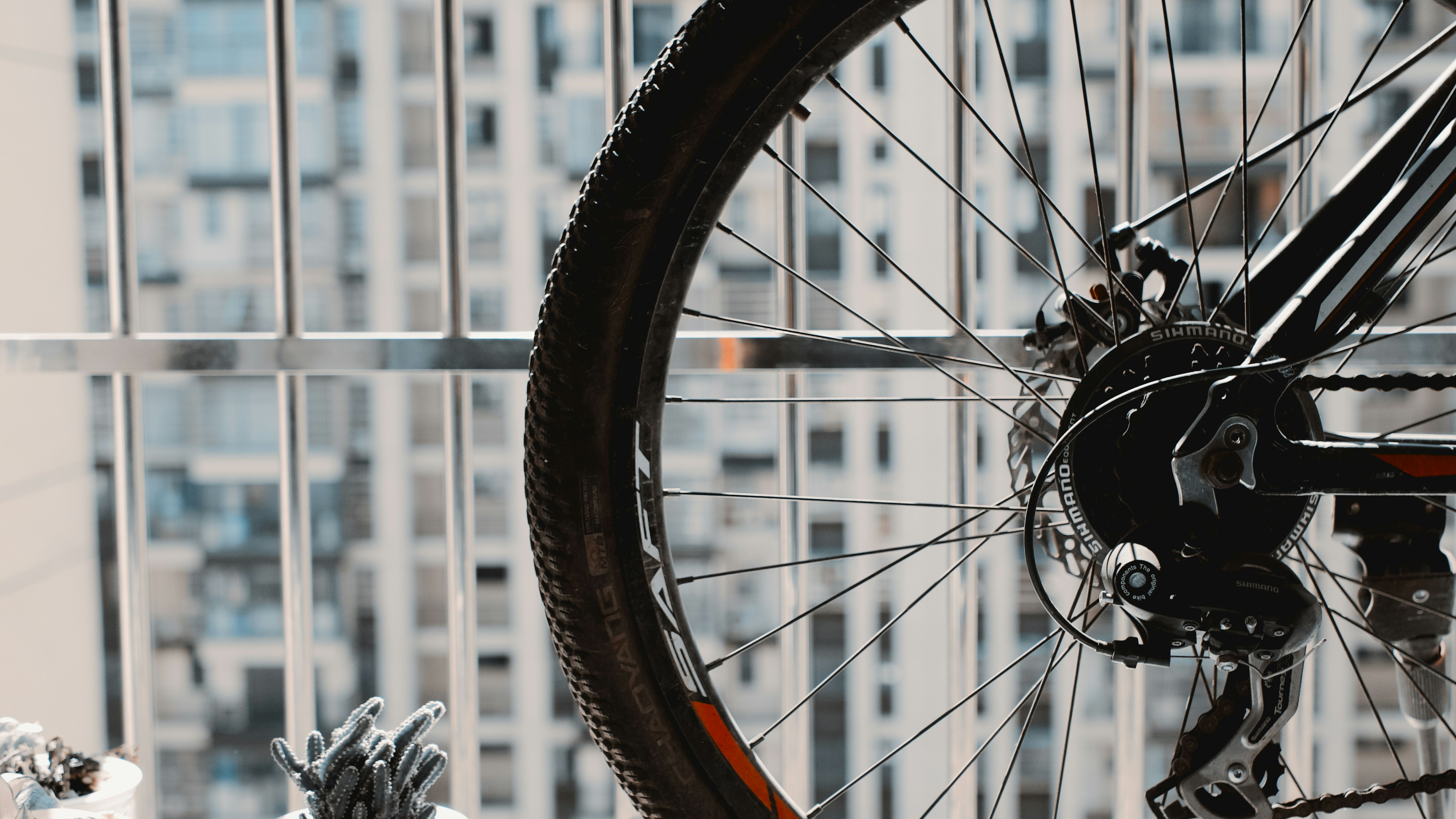 Photo by xiexianghua