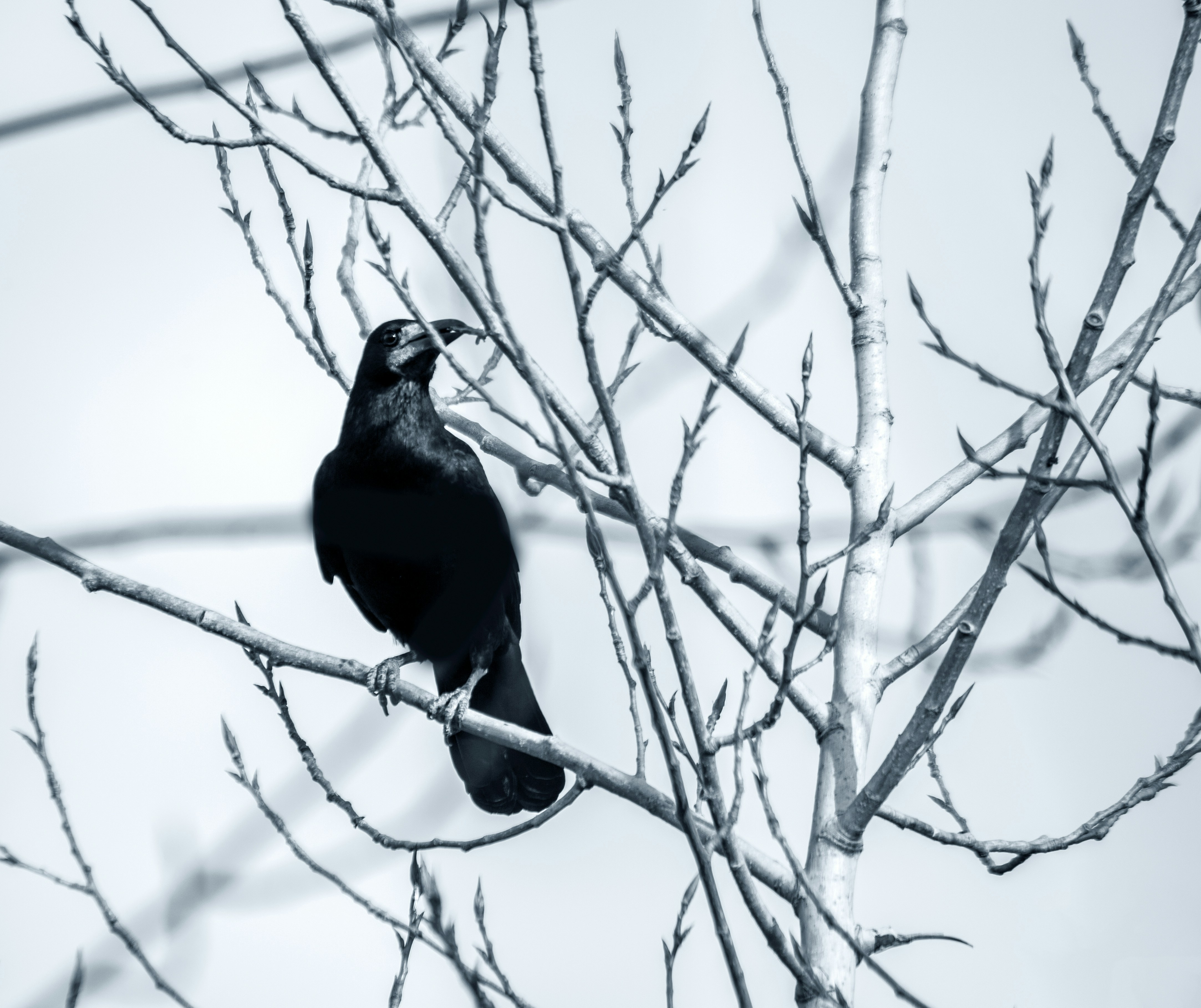 Photo by hpzworkz