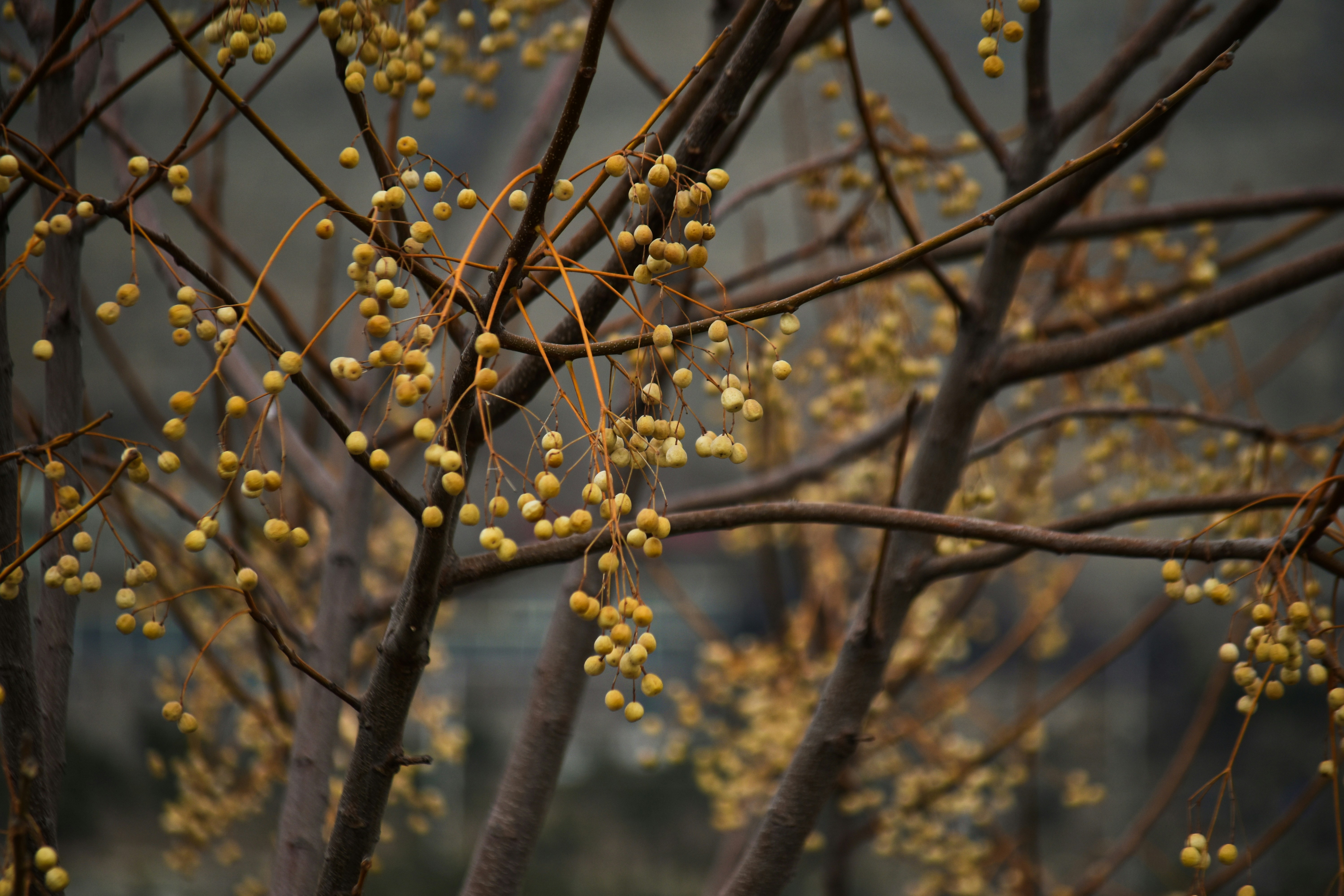 Photo by payam__tahery