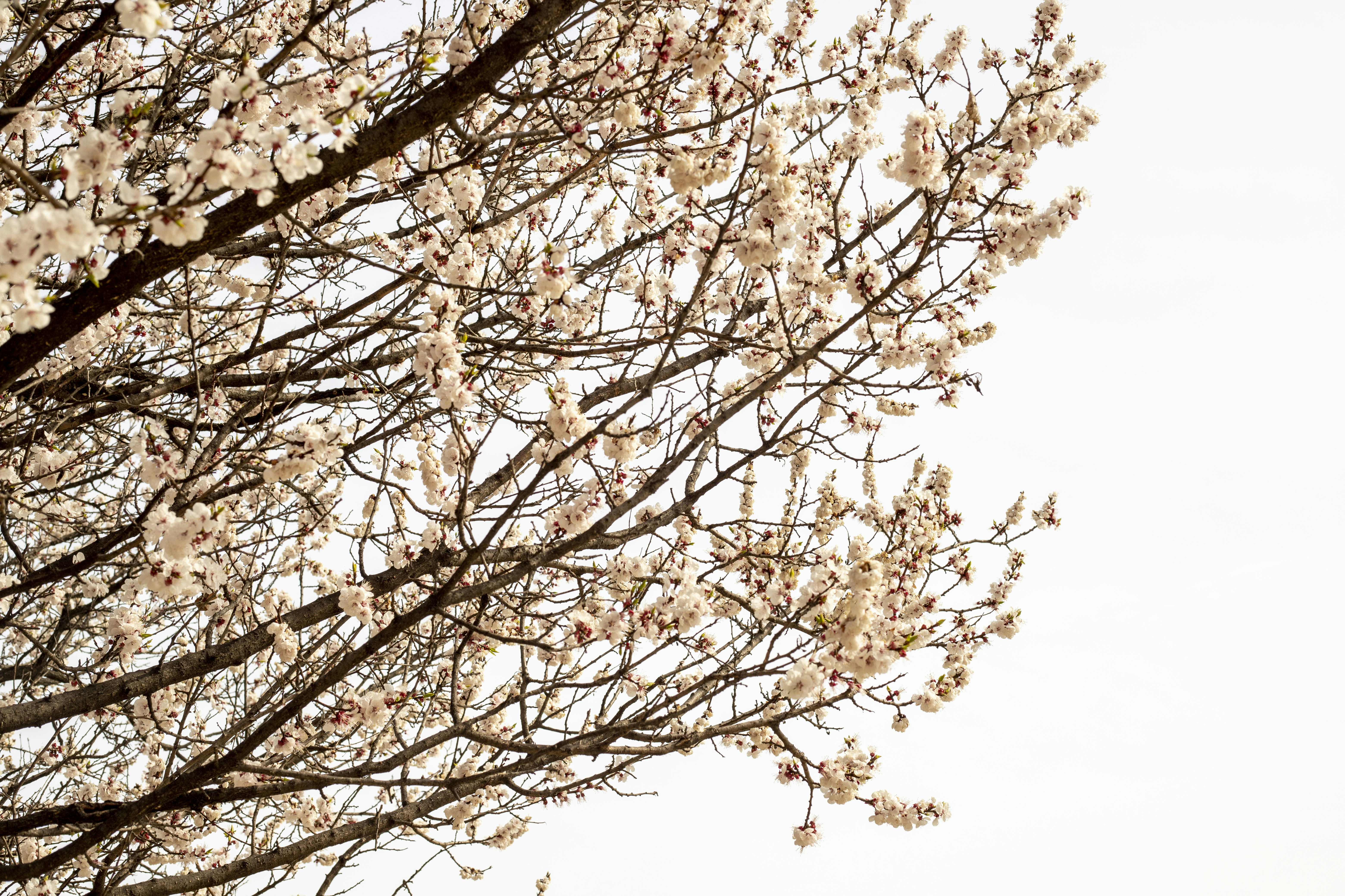 Photo by lapis_photo