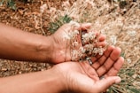 Close-up of hands gently holding a delicate wildflower, with textured recycled paper in the background.