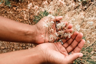 A delicate close-up of hands holding wildflowers, with a warm beige background and soft focus.