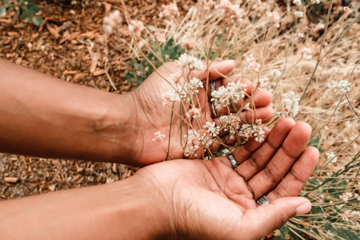Close-up of hands gently holding freshly picked wild herbs against a soft natural background.
