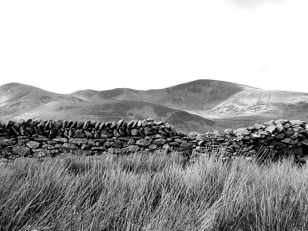 grayscale photo of grass field near mountain