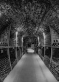 A dimly lit stone cellar with rows of shelves stacked with numerous wine bottles, the arching ceiling adding an ancient and rustic feel. The perspective draws the eye towards the center, creating a sense of depth.