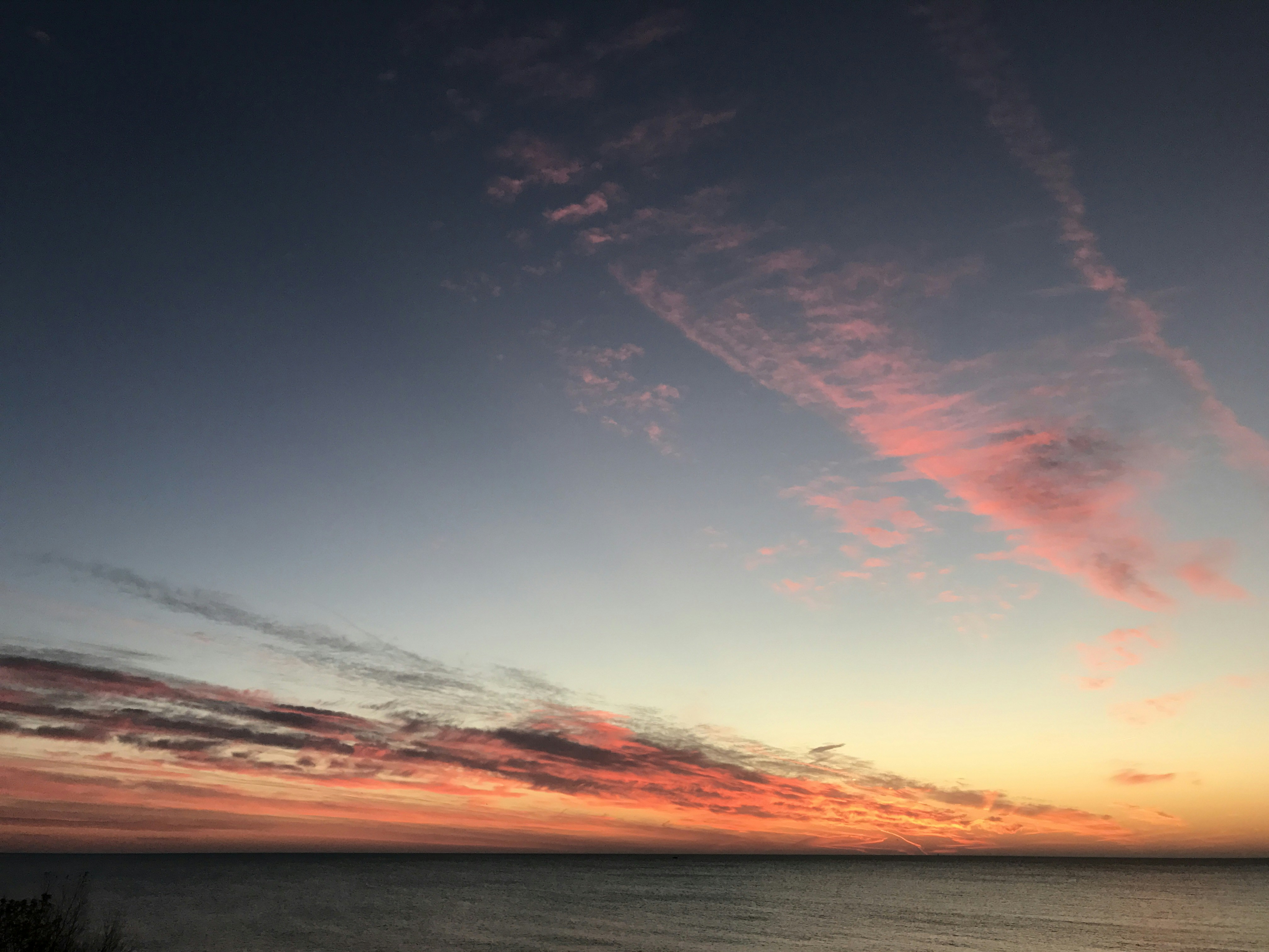 Photo by lorimendelsohn