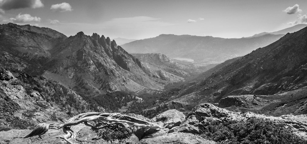 grayscale photo of mountains and trees