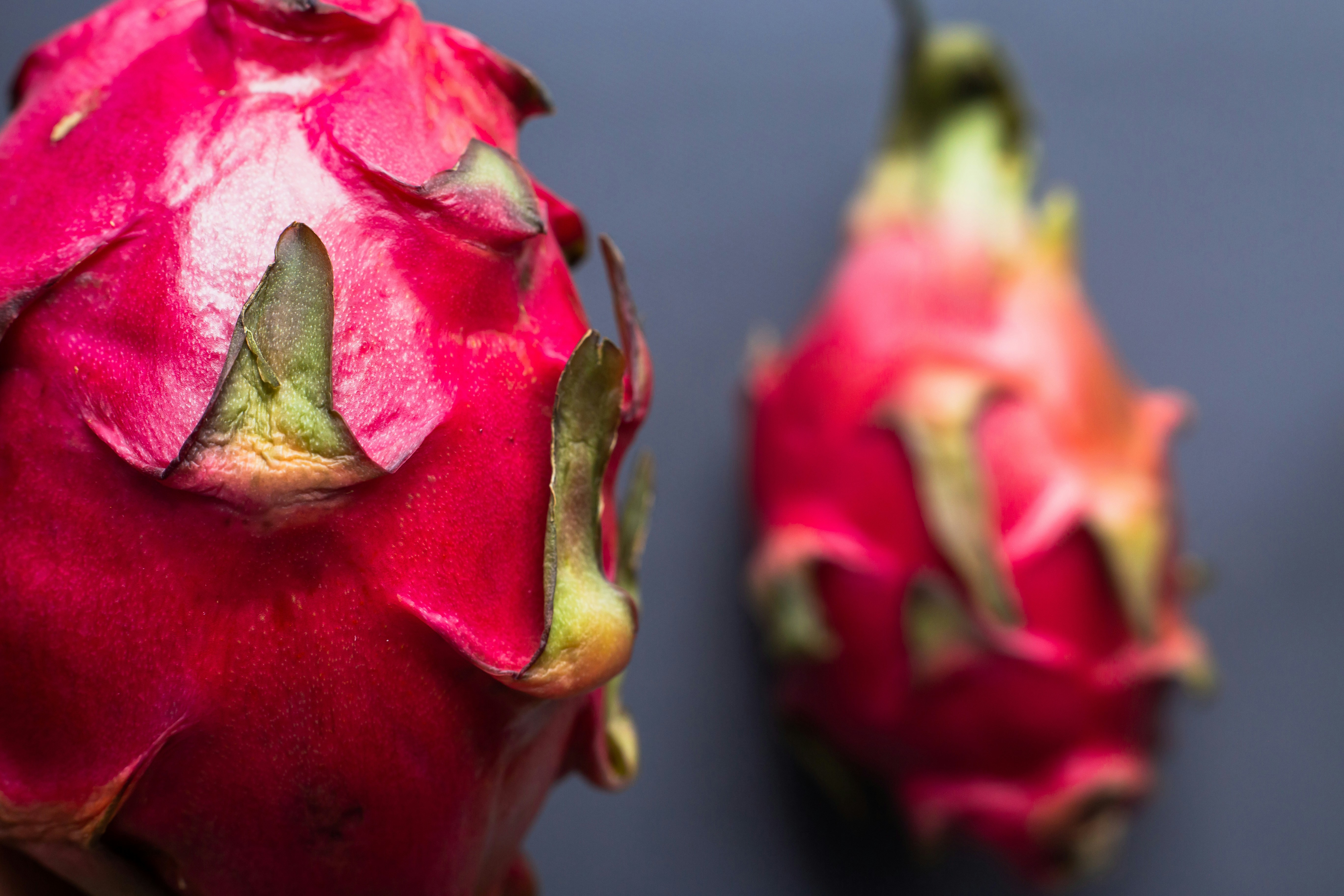 赤と緑のドラゴンフルーツの写真 Unsplashで見つける工場の無料写真