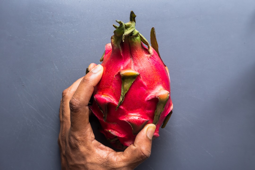 person holding red dragon fruit