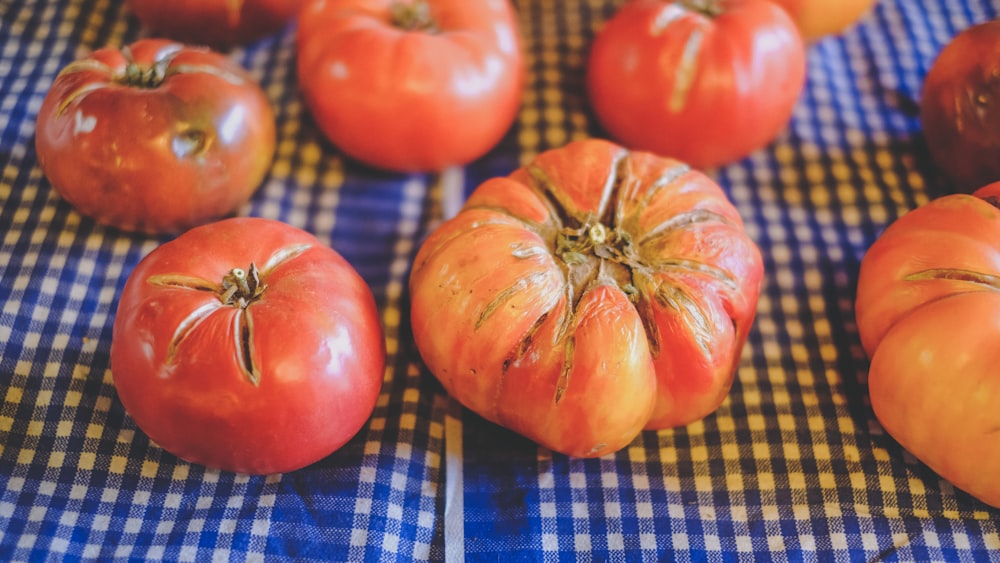 red tomato on blue and white checkered textile