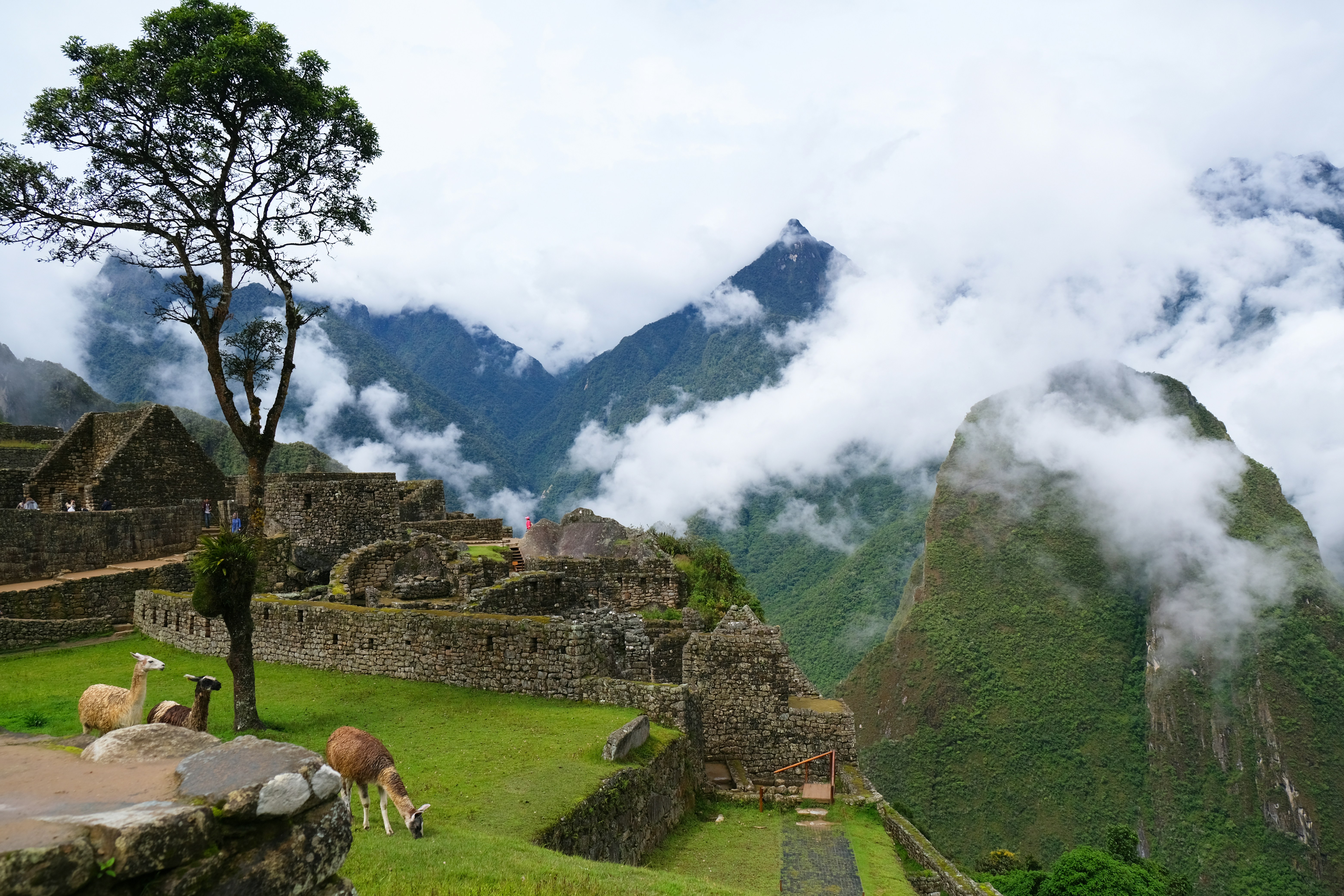 green grass field near mountain under white clouds during daytime