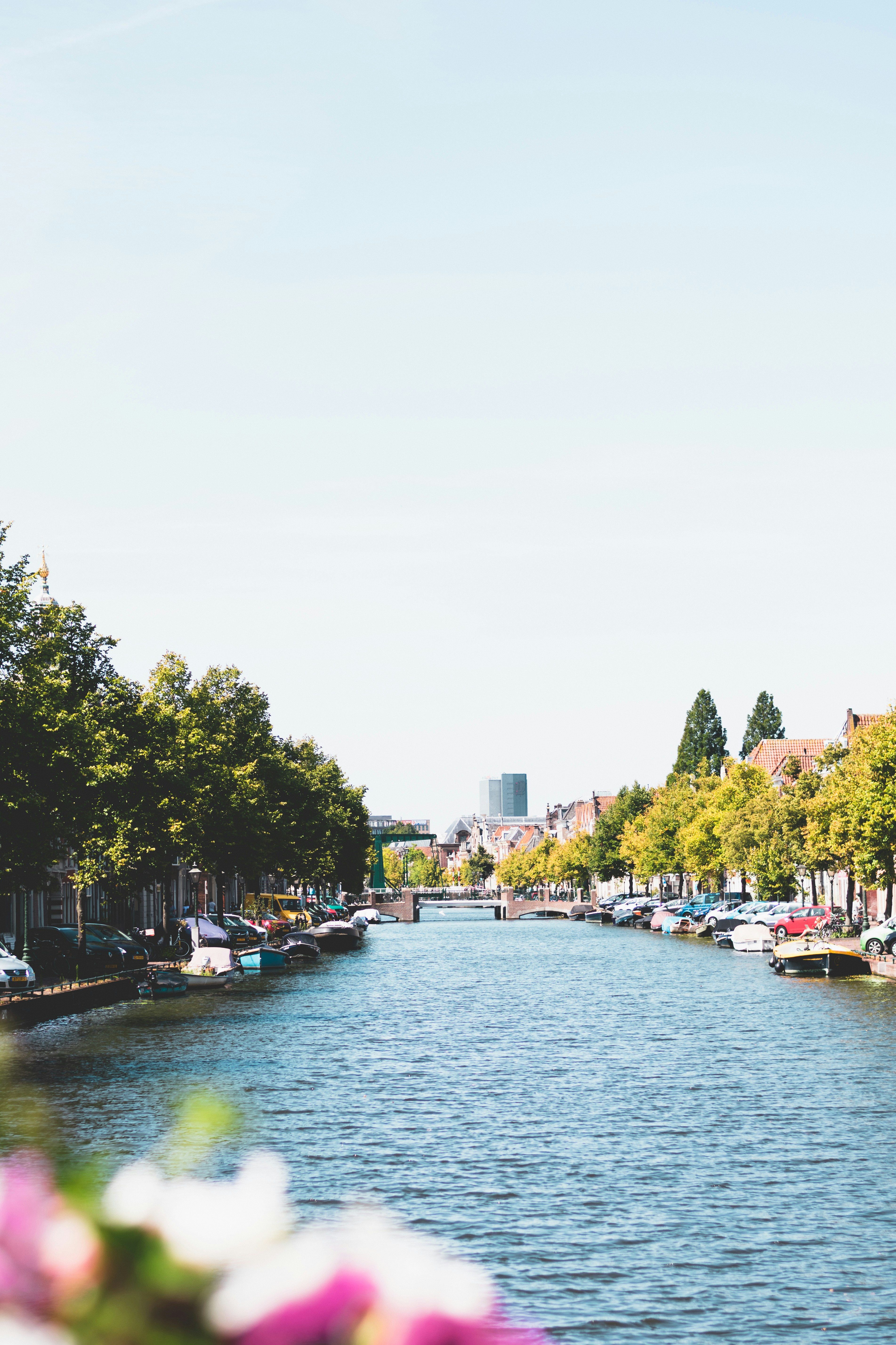 Photo by damiano_baschiera