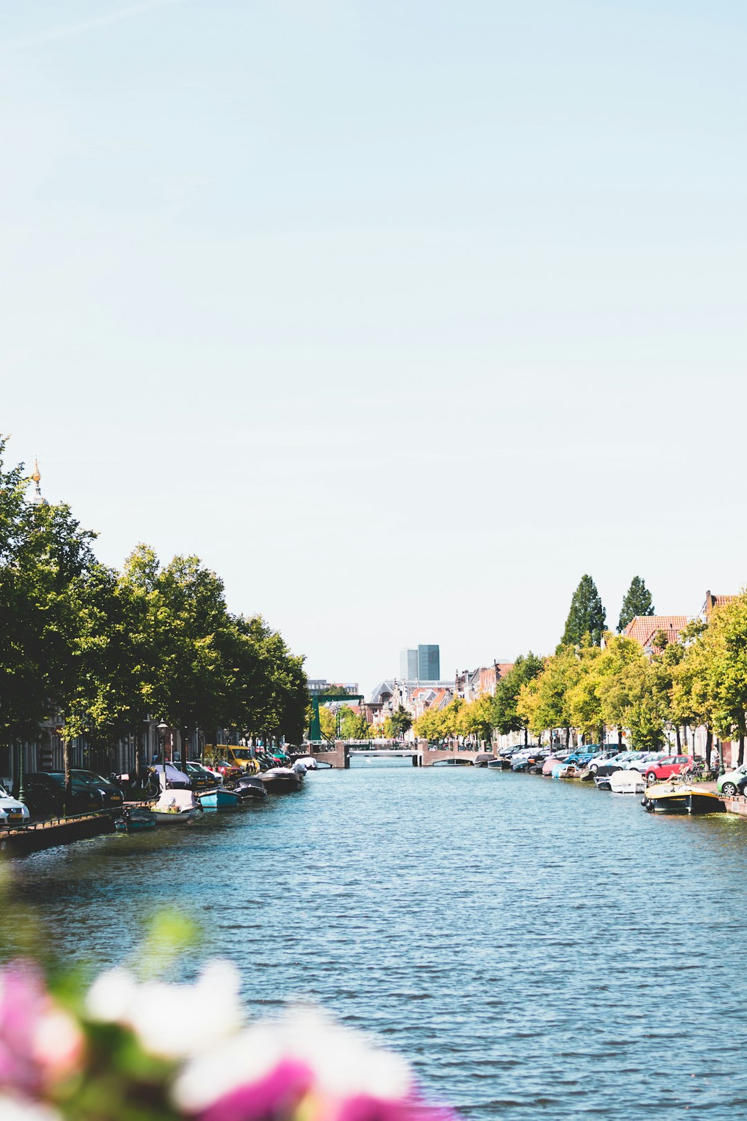 Town photo spot Leiden Rotterdam