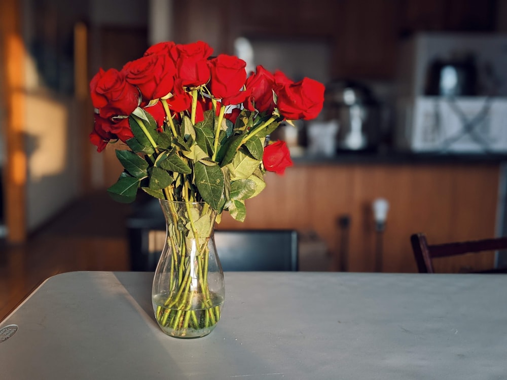 red roses in clear glass vase on white table