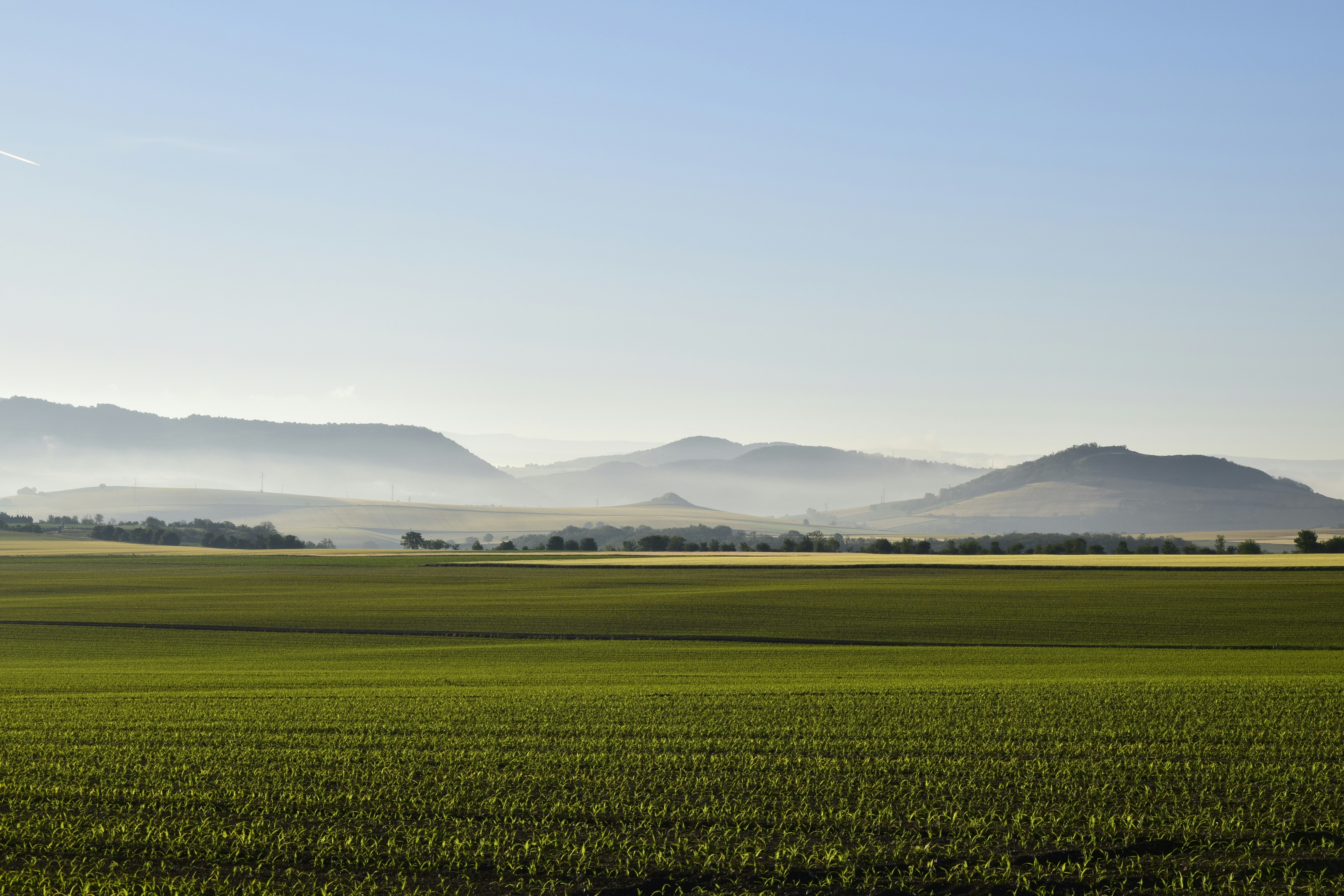 Photo by patrick63140