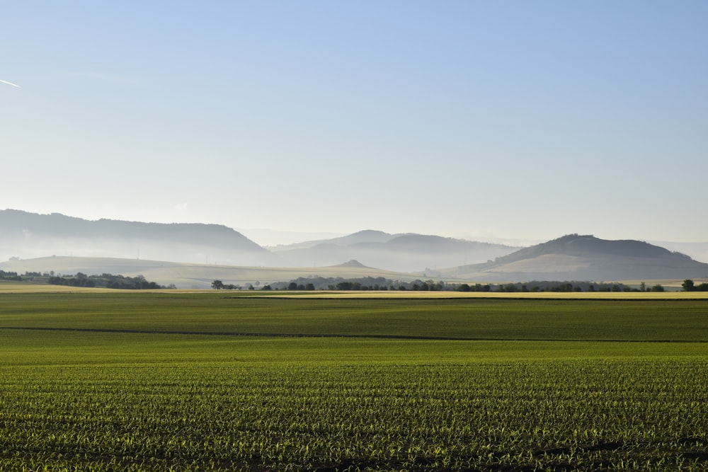 green grass field near mountains during daytime