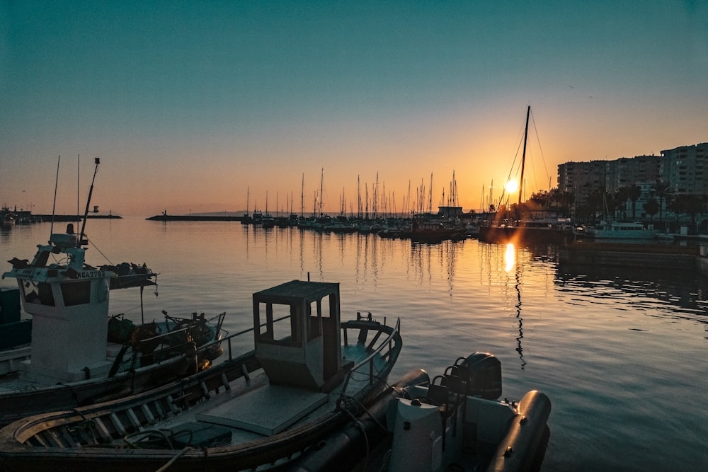 white and blue boat on sea during sunset