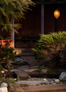 A serene garden corner with a mix of native plants, decorative rocks, and soft lighting for evening ambiance.