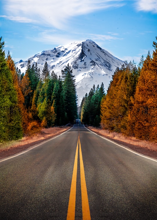 gray concrete road between green trees and mountain during daytime in Mount Shasta United States