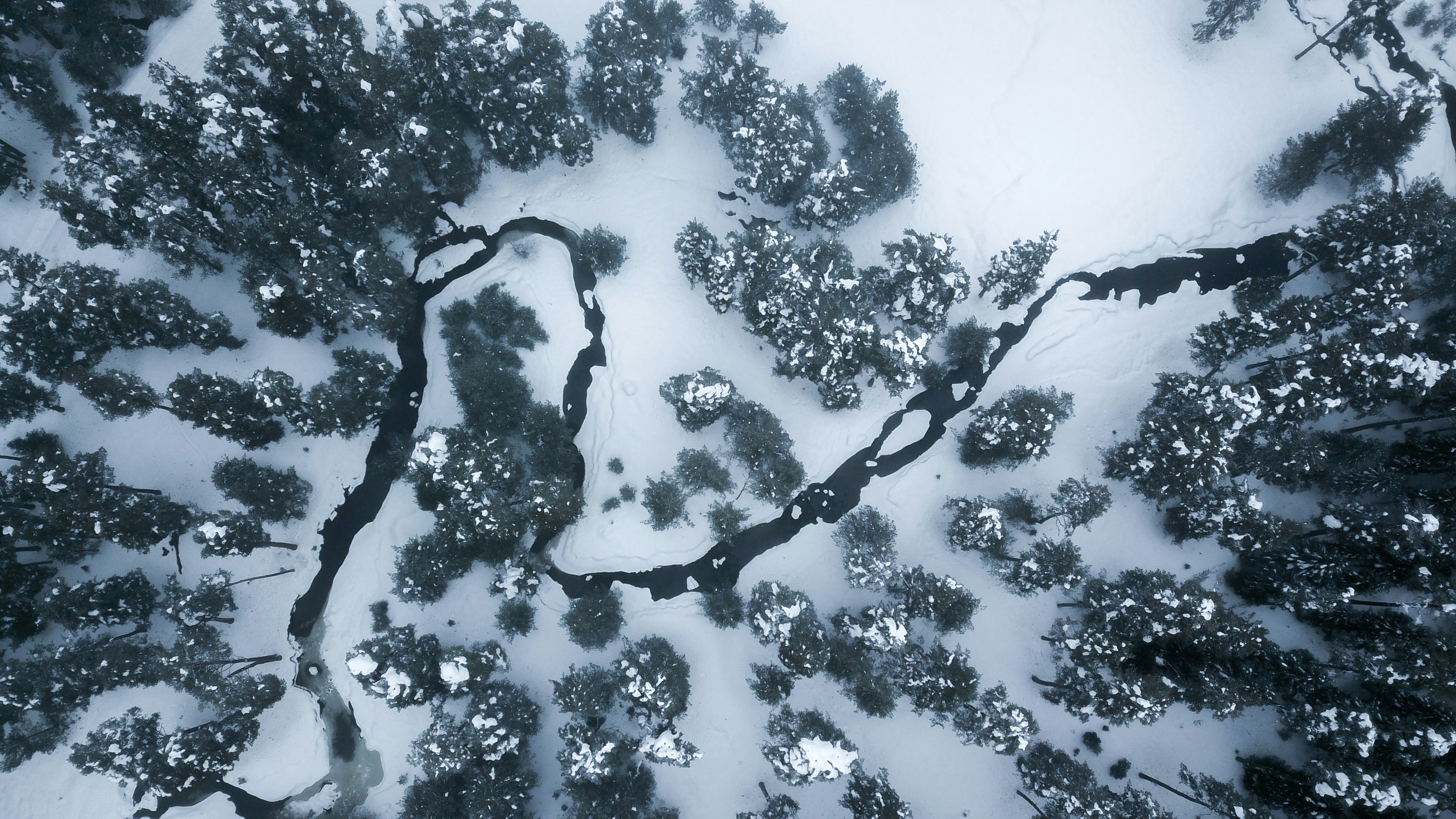 Photo by umityildirim