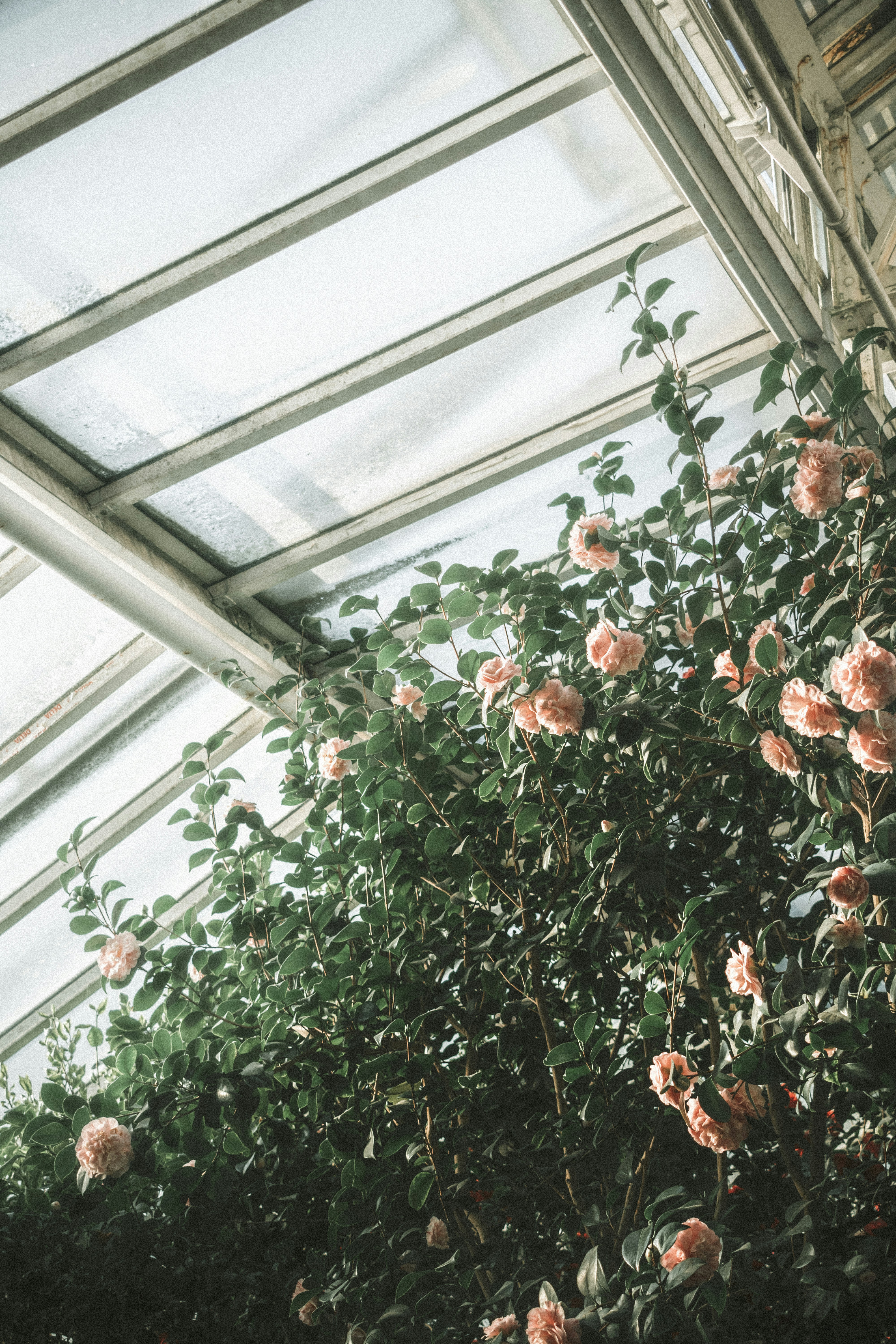 Photo by aurelienthms