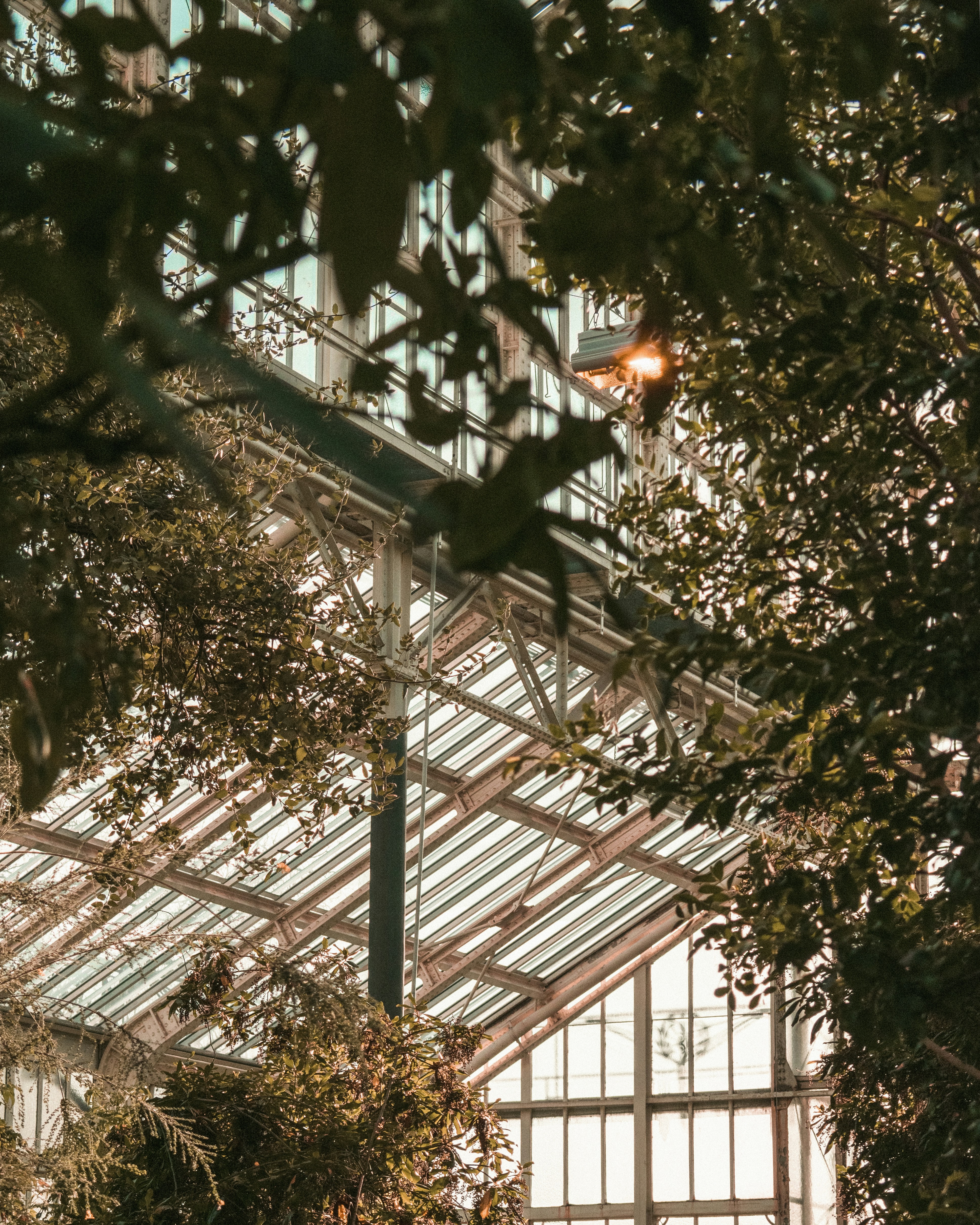 Photo by aurelienthms