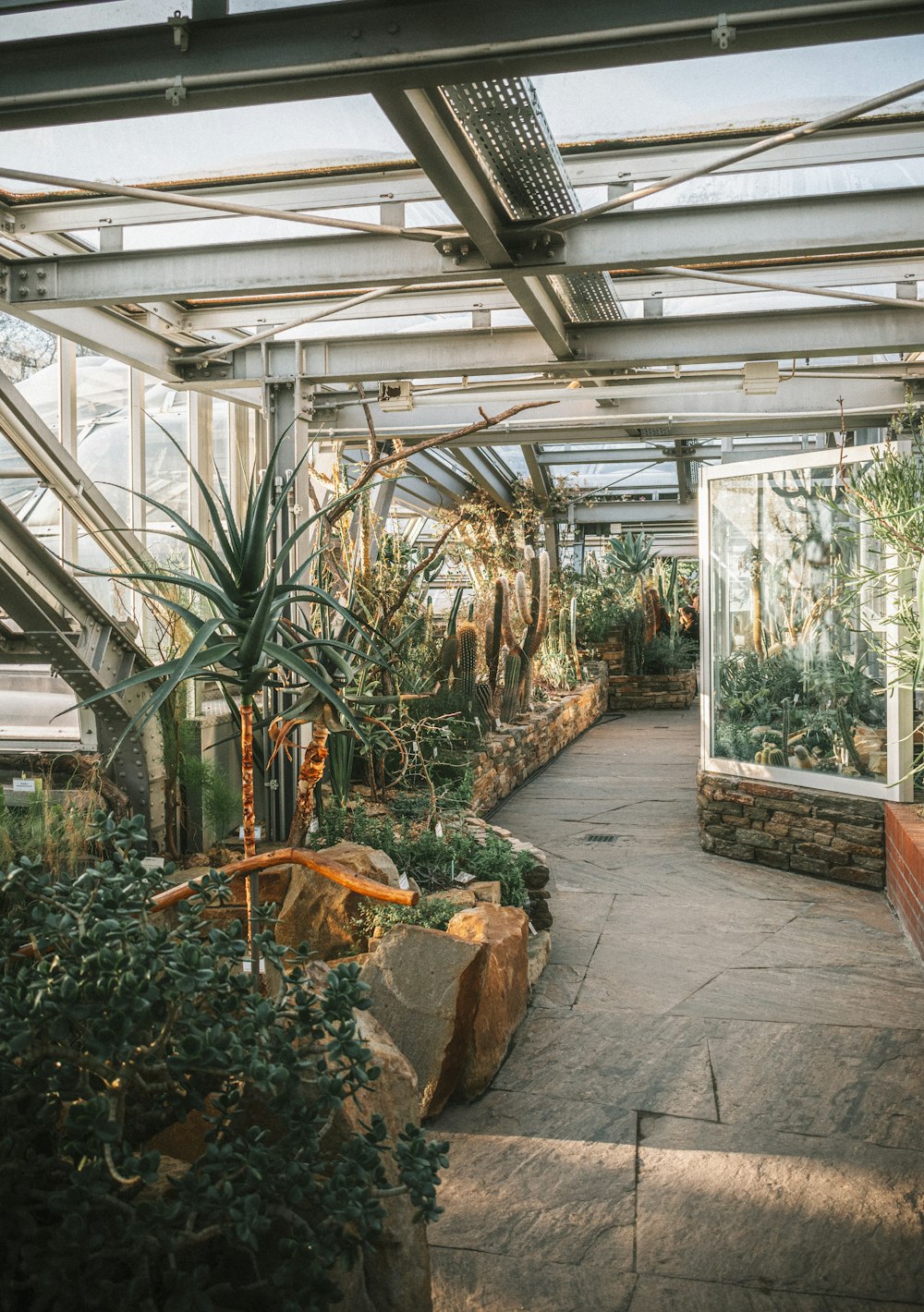 green plants in greenhouse during daytime