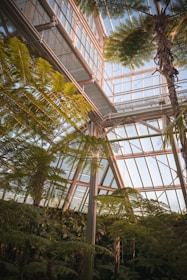 A glass greenhouse structure features tall metal beams and panels, filled with lush green ferns and other tropical plants. Sunlight filters through the large windows, casting natural light across the vegetation.