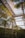 A glass greenhouse structure features tall metal beams and panels, filled with lush green ferns and other tropical plants. Sunlight filters through the large windows, casting natural light across the vegetation.
