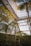 A glass greenhouse structure features tall metal beams and panels, filled with lush green ferns and other tropical plants. Sunlight filters through the large windows, casting natural light across the vegetation.